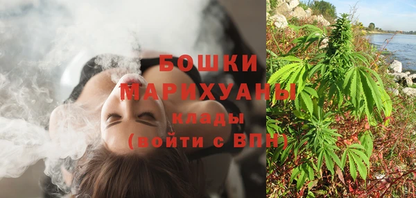 гидропоника Гусиноозёрск